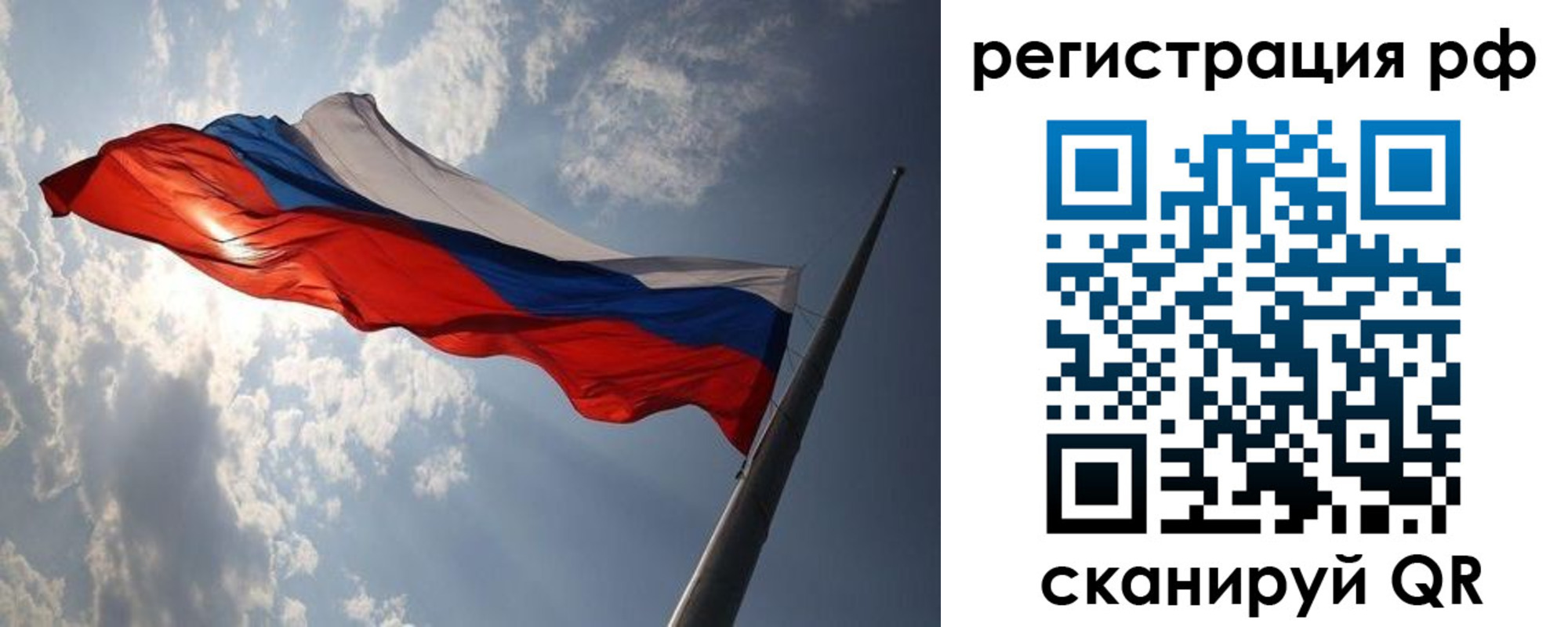 прописка поиск в Мытищах
